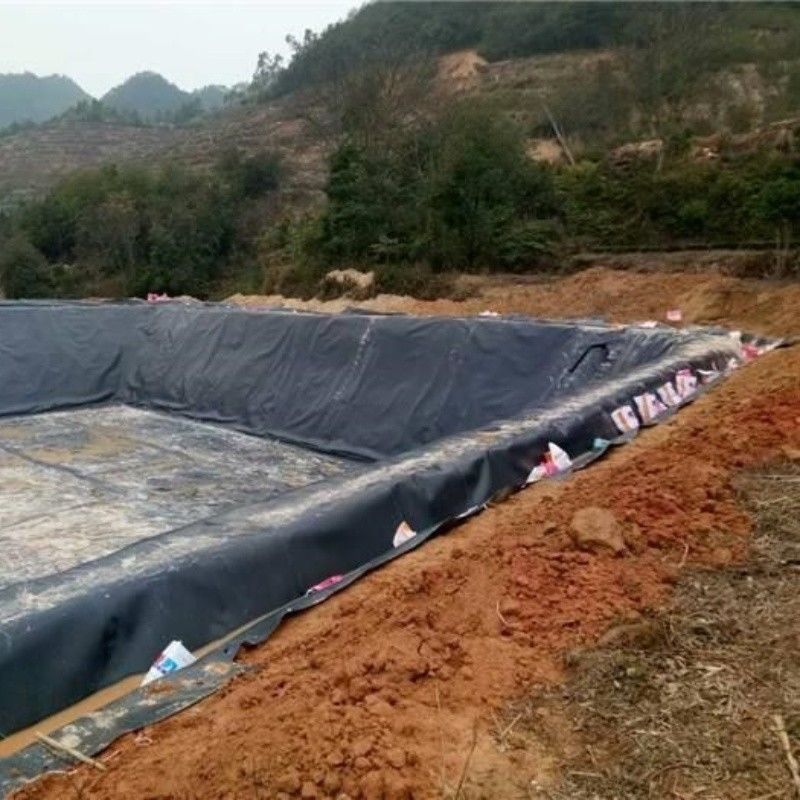 Liner impermeabilizzante a geomembrana in HDPE / Liner per piscina / Digestore di biogas per discariche di materiali da costruzione stradale Georid