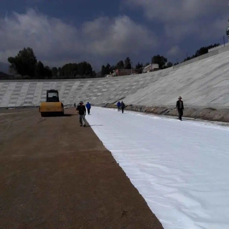 Geotectil Geotectil Geofabric UV resistente poliestere corto / staple aghi perforati non tessuti Geotextile