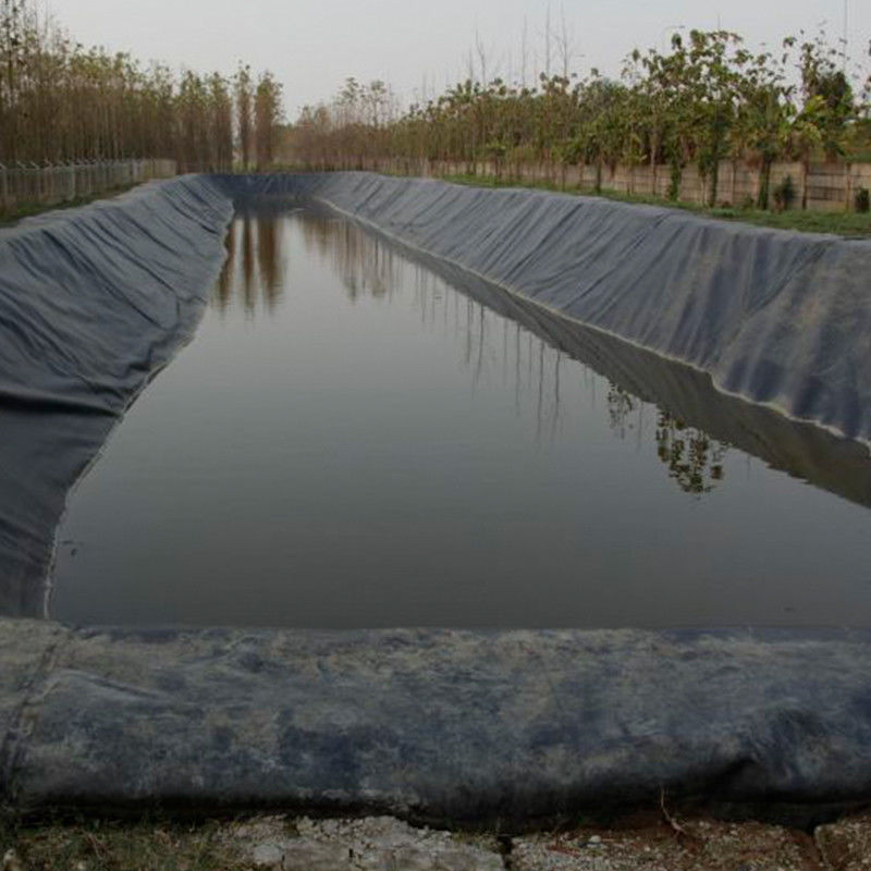 100% materiale vergine ASTM Standard GM13 HDPE Geomembrane Liner 0.3mm 0.5mm 1.0mm 1.5mm 2.0mm Per discarica / stagno di gamberetti