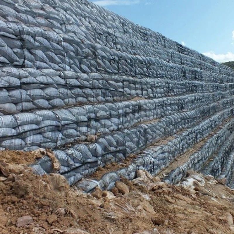 Griglia geologica Griglia di terra di plastica uniaxiale Poliester Griglia geologica uniaxiale Griglia di ghiaia Griglia di terra per il seminterrato del vialetto
