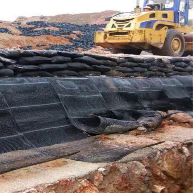 Griglia geologica Griglia di terra di plastica uniaxiale Poliester Griglia geologica uniaxiale Griglia di ghiaia Griglia di terra per il seminterrato del vialetto