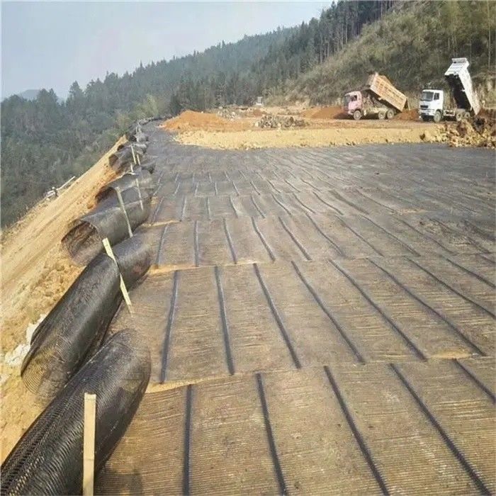 Griglia geologica Griglia di terra di plastica uniaxiale Poliester Griglia geologica uniaxiale Griglia di ghiaia Griglia di terra per il seminterrato del vialetto