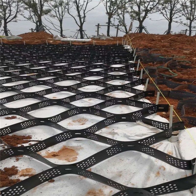 Alto nido di miele nero HDPE Geocell rinforzo via strada per strada ghiaia stabilizzatore griglia parete di sostegno argine