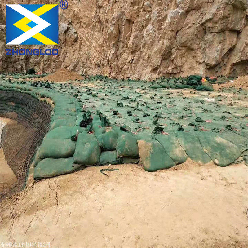 Geotextile di grado ingegneristico non tessuto PP/PET Geobag a foratura per protezione costiera, stabilizzazione di argini e controllo dell'erosione