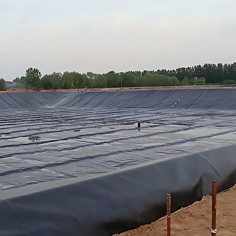 ASTM 100% vergine impermeabile all'acqua Acquicoltura Pond Liner Alta densità HDPE Geomembrane Dam Pond Liner
