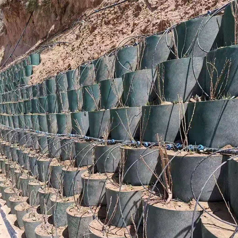 Sistema di confinamento ad alta densità cellulare con texture Honeycomb Geocell HDPE per strada Fondazione Protezione del pendio Parcheggio Parcheggio Parcheggio Parete di sostegno
