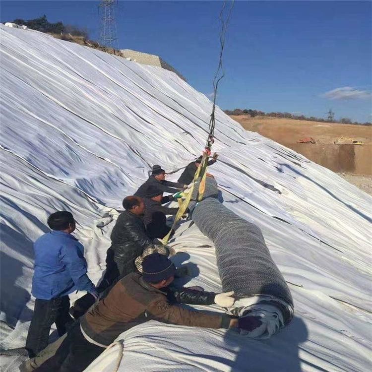 Acqua di stagno Geosintetico anti-siccatura GCL Matto di rivestimento in argilla Gcl Bentonite Geosintetico per discarica