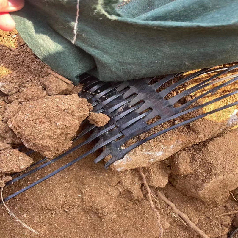Stabilizzatore di terra a griglia di poliestere geogrid unidirezionale in plastica di PP PE per il rinforzo del suolo