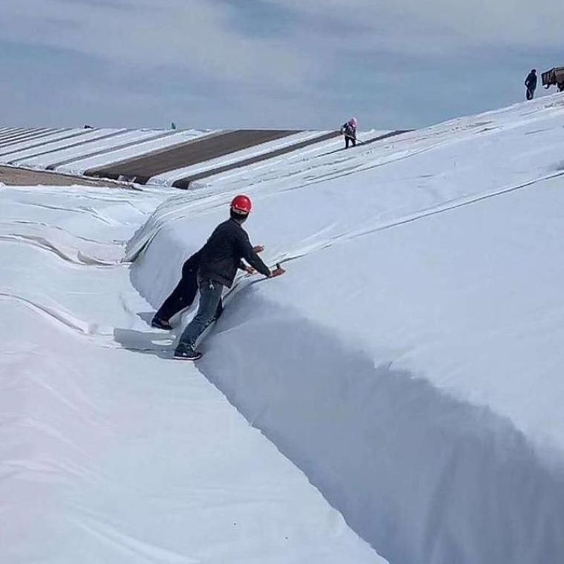 Bianco nero non tessuto a ago perforato geotessile PET PP per autostrade e ferrovie