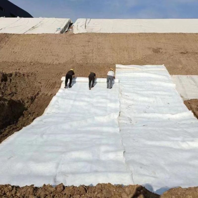 Bianco nero non tessuto a ago perforato geotessile PET PP per autostrade e ferrovie