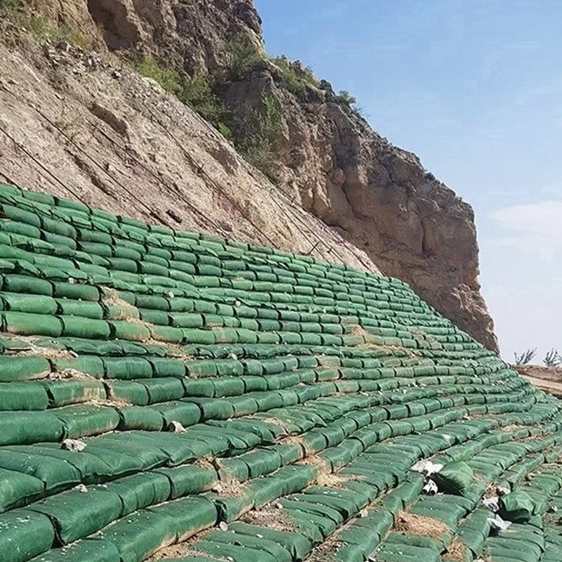 Geotextile di grado ingegneristico non tessuto PP/PET Geobag a foratura per protezione costiera, stabilizzazione di argini e controllo dell'erosione