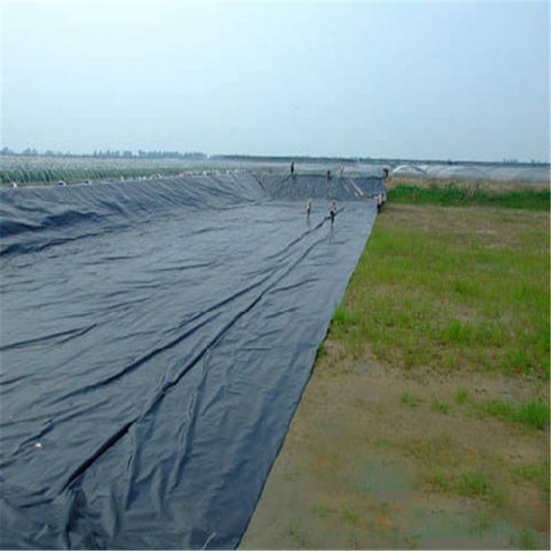HDPE High Definition Polyethylene Liner Stile di progettazione industriale per piscine di allevamenti di pesci e gamberetti Balck impermeabile