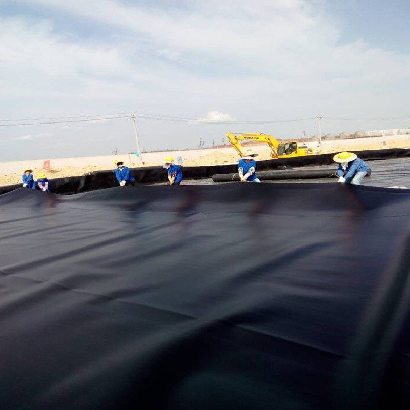 Geomembrane in PVC per stagno di pesce e gamberetti e stagno di polietilene rinforzato