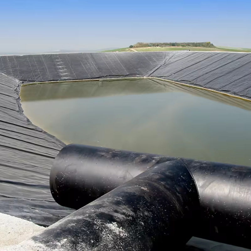 Geomembrane in PVC per stagno di pesce e gamberetti e stagno di polietilene rinforzato