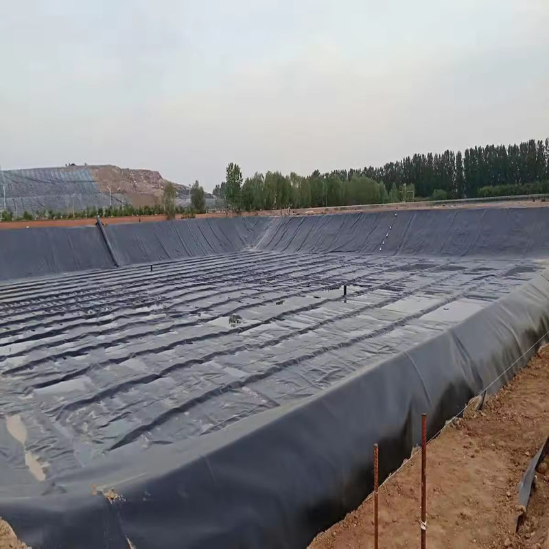 Geomembrane in PVC per stagno di pesce e gamberetti e stagno di polietilene rinforzato
