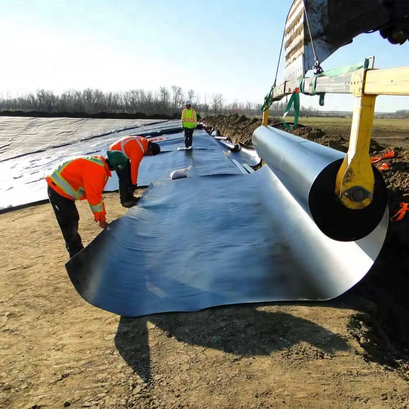 Geomembrane in PVC per stagno di pesce e gamberetti e stagno di polietilene rinforzato