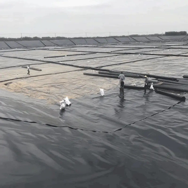 Acquario di stagno a geomembrana in HDPE nero di alta qualità 0,5 mm ∼2,0 mm per piscicoltura, stagni di acquacoltura, serbatoi di stoccaggio dell'acqua e impermeabilizzazione delle dighe