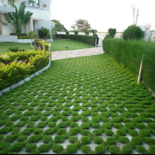 Griglia di plastica di plastica per parcheggio Fuoco uscita HDPE Pavimenti Geogrid per il paesaggio Terreno Geocelle Ghiaia Paddock Griglia