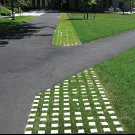 Griglia di erba di plastica per il parcheggio Uscita incendiaria Pavimenti in HDPE Griglia geologica per il paesaggio Terreno geocella Griglia paddock Griglia