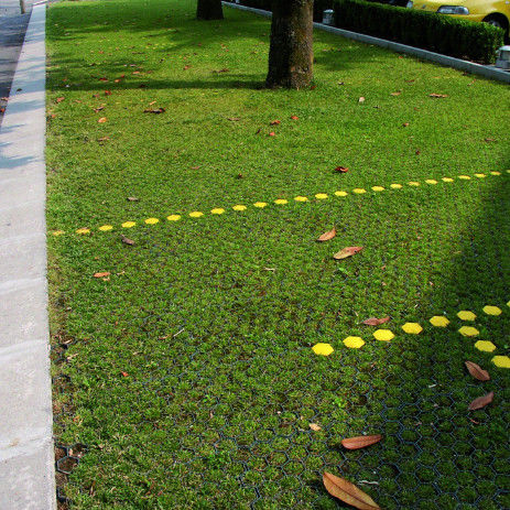 Griglia di erba di plastica per il parcheggio Uscita incendiaria Pavimenti in HDPE Griglia geologica per il paesaggio Terreno geocella Griglia paddock Griglia