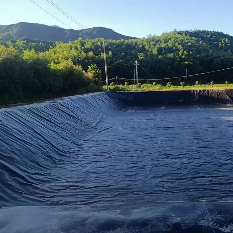 0.75-2.5mm HDPE Geomembrane Pond Liner Per discarica Pesce Gamberi Stagno Stagno Liner Miniere