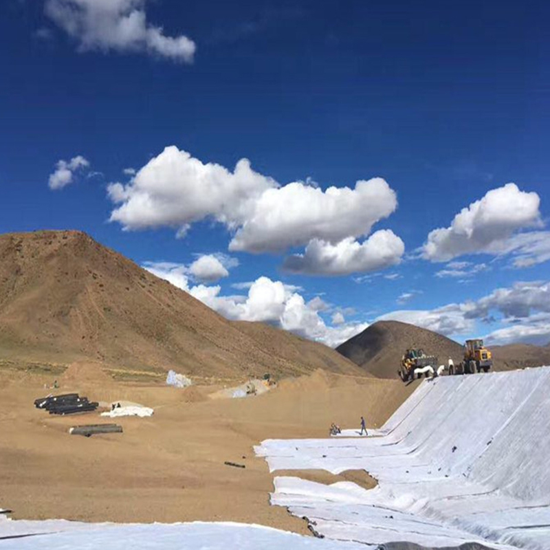 Geotessuto in tessuto non tessuto spunbond Pet/PP per serbatoi, laghi artificiali, bacini di stoccaggio, discariche, filtrazione, isolamento