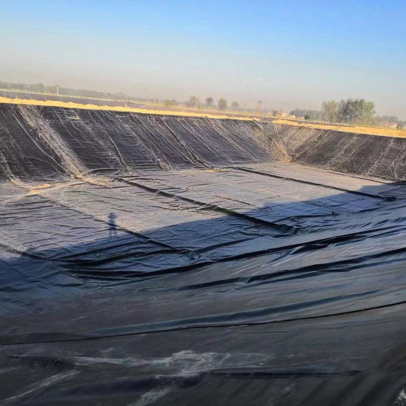 Membrana impermeabile in HDPE per acquacoltura, allevamenti ittici, laghetti, dighe, piscine e applicazioni di contenimento idrico