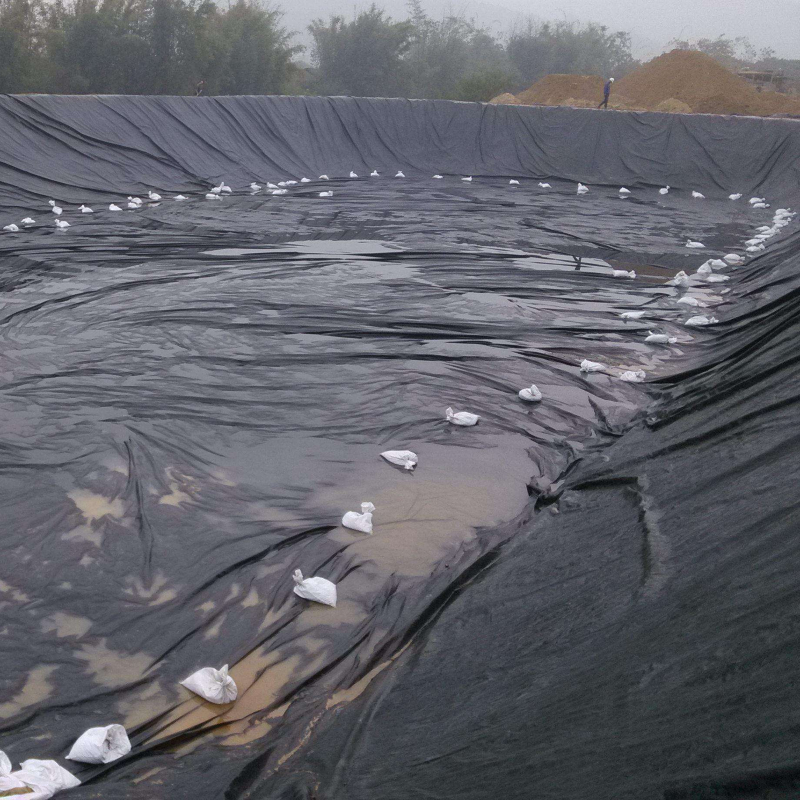 Anti-Seepage Plastic Film Geomembrane with HDPE for Pool Lake River Agriculture Dam Landfill