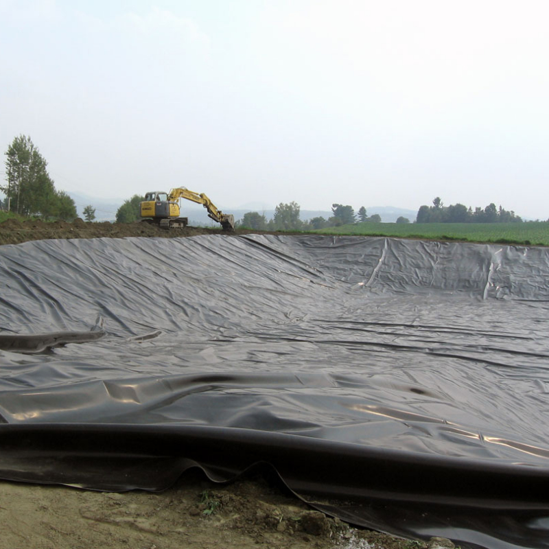 High Density HDPE Geomembrane Liner Sheet Waterproofing Membrane for Fish and Shrimp Aquaculture