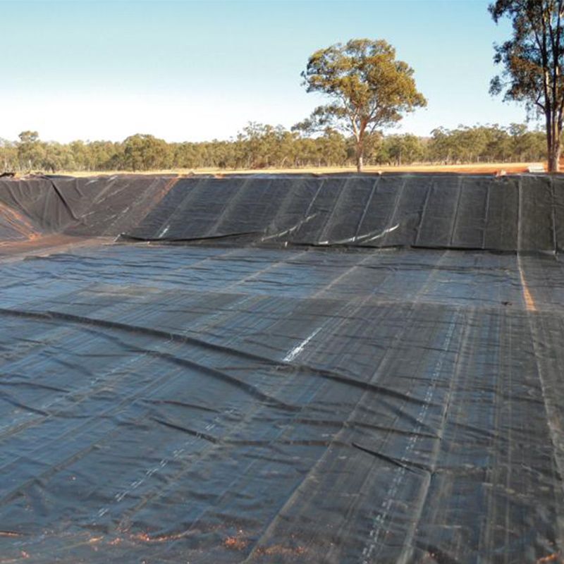 Rivestimento per laghetto impermeabile in HDPE nero duro Prezzo di fabbrica in polietilene Geomembrana in vendita