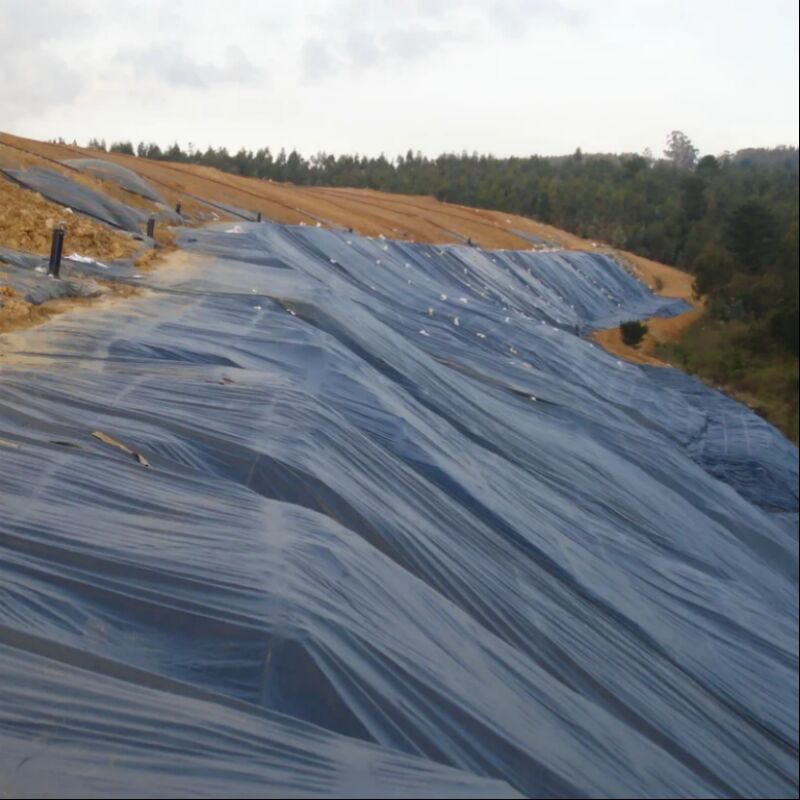 Impermeabili Telo per Laghetti Agricoli Superficie Liscia per Allevamento di Pesci e Gamberi, Laghi Artificiali, Discariche, Geomembrana in HDPE
